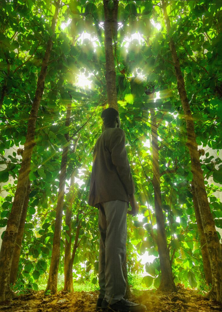 A man standing in lush green forest in Ado Ekiti, Nigeria, basking in sunbeams through trees.
