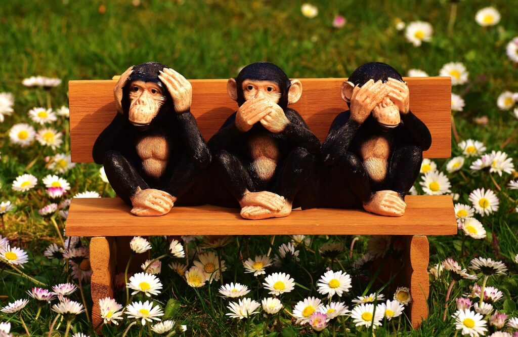 not hear, not see, do not speak, monkeys, to sit, nature, bank, characters, fun, cute, meadow, daisy, three, animals